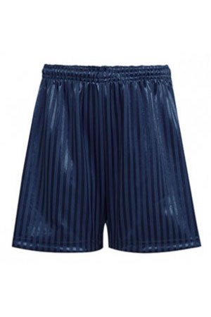 Lever Edge PE Navy Shorts
