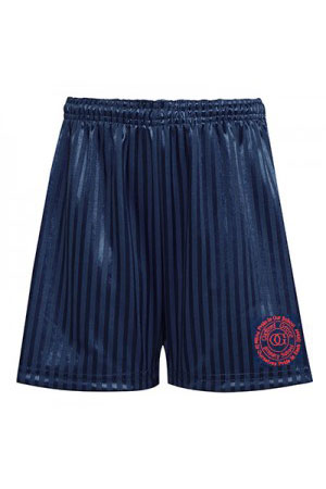Navy Sports Shorts with Logo