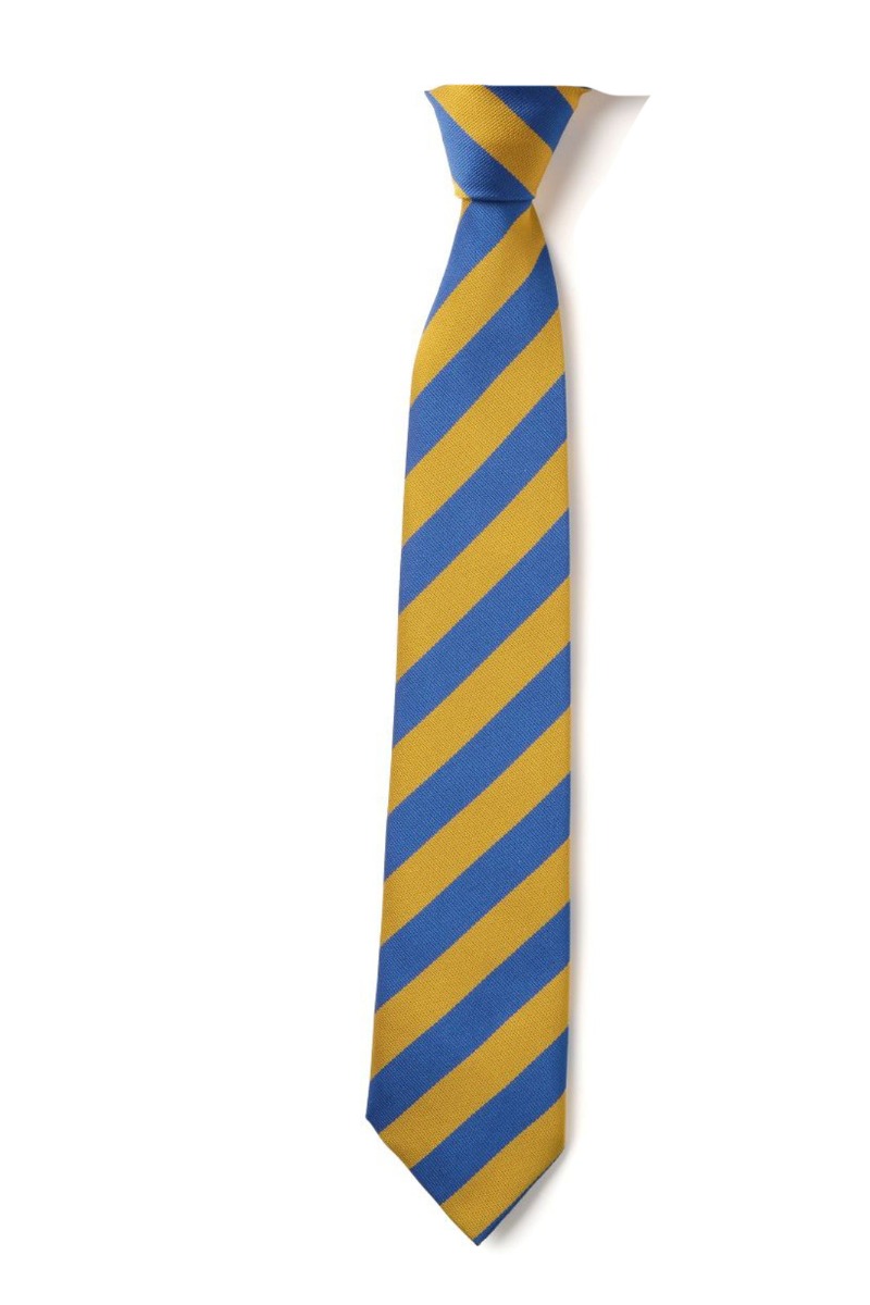 Gold & Royal Stripe School Tie -0