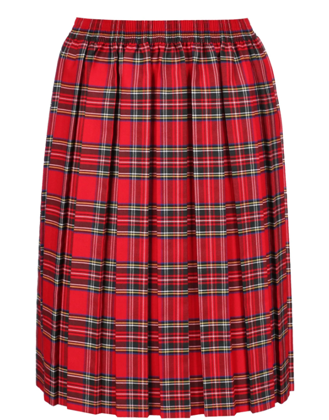 Eatock Primary School Tartan Box Pleat skirt-0