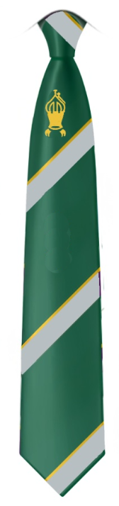 Canon Slade School Year 7 Silver Stripe Tie